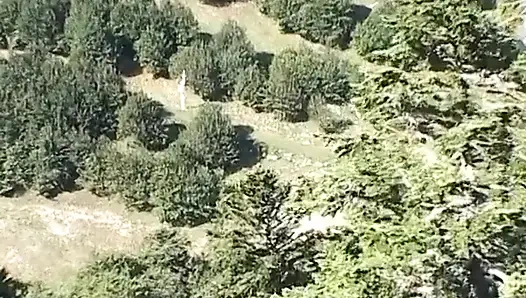 A couple of piggy walkers take a dirty break in the woods!