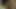 Blackcat gives a blowjob...