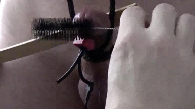 Cockhead Torment