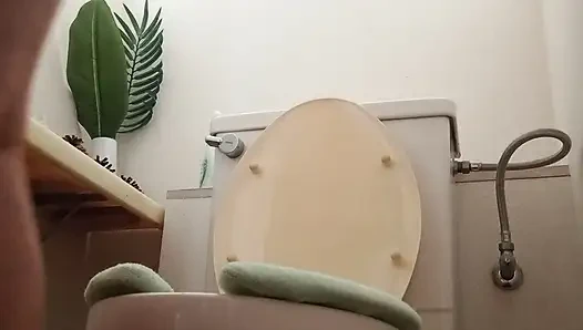 Various toilet scenes