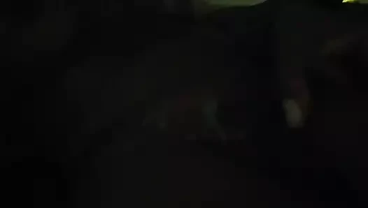 büyük horoz abanoz