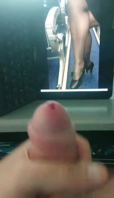 Tribute # 37
