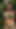 Powerful moment from "Jaya Anjali bikini in forest dancing (Ai model)"