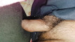 Pregled videozapisa