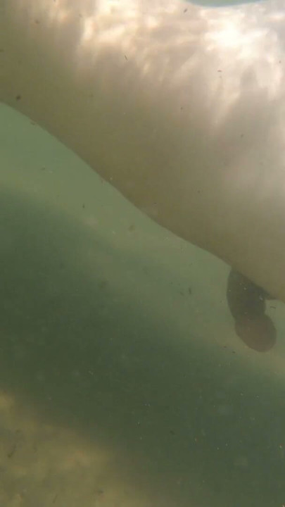 I cum just for the pleasure of feeling free, naked on a public beach | Clip 1