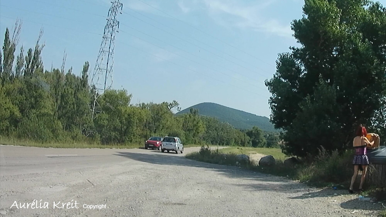 I take out the trash in my school clothes and with a tail plug in my ass on the side of the road while the cars pass by