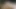 Uncut Stud Pounding His Cock and Exploding with a Massive Load ( onlyfans - handjobmen )