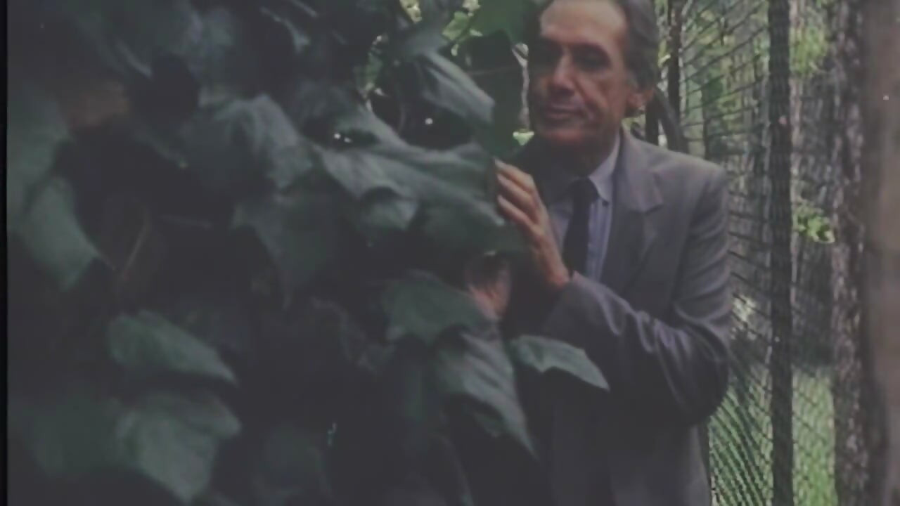 Her Husband Spies on Her While She Gets Fucked by the Gardener.
