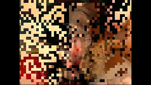 Sensual Ride on Cock