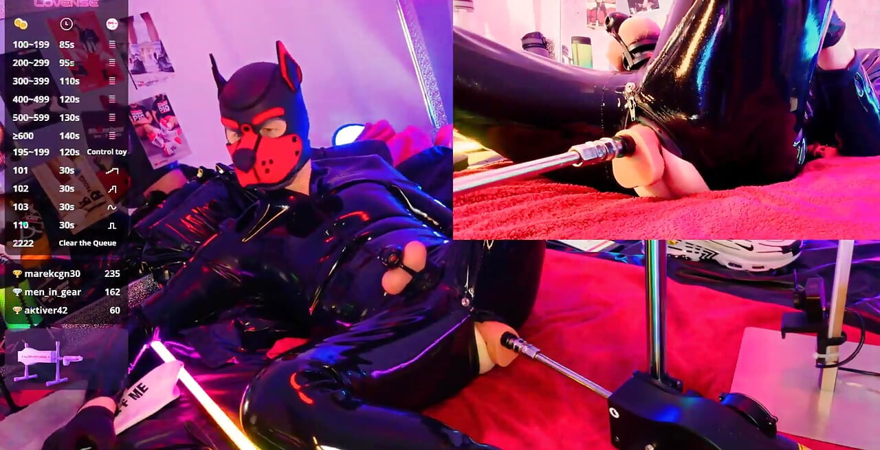 Nicolaus Rubber Show with Pet Mask