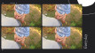 Pregled videozapisa