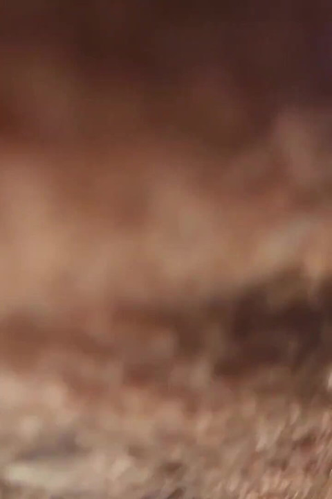 Bust That Ass Compilation 01