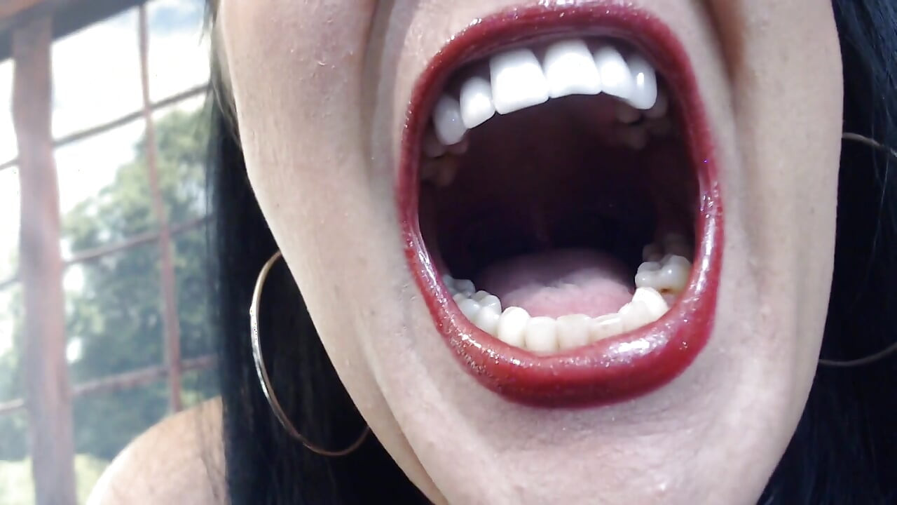 Tour The Terrors in my Mouth