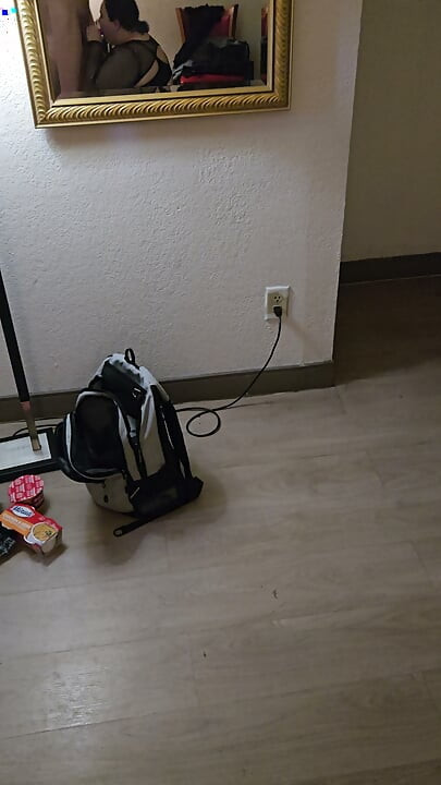 Lodzik w hotelu przed spacerem