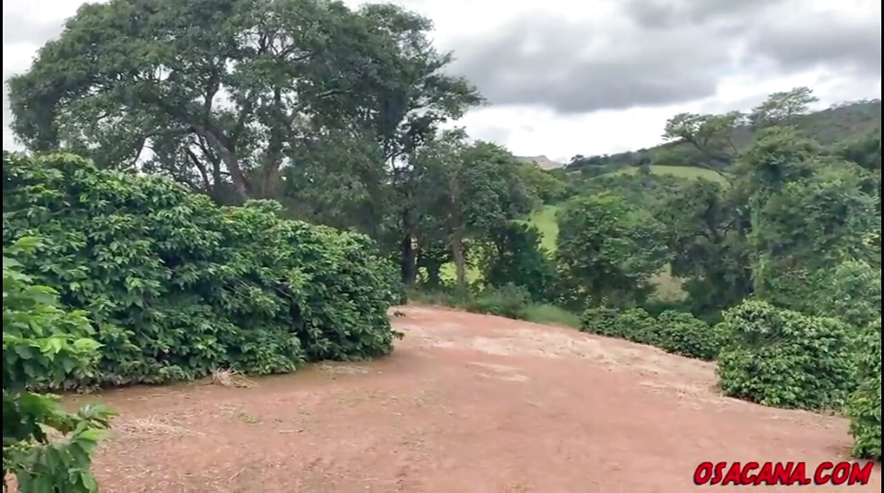 Beautiful Young Girl with Dreads Fucks Inside the Coffee Plantation