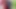 Forest of Perverts 4