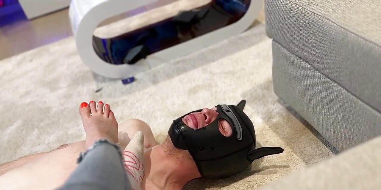 Good Boy Require