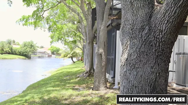 RealityKings - Step Moms Bang Teens - Dillion Harper Jamie Valent