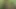 Big boobed German granny rides big dick in the woods