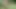 Huge cumshot on the river after a hot fuck with orgasm
