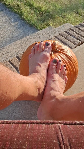 Peter pumpkin feeter