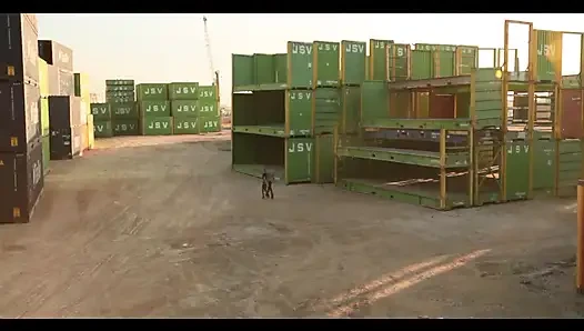 Golden Ass Deutsch Hot Anal Pound Fest