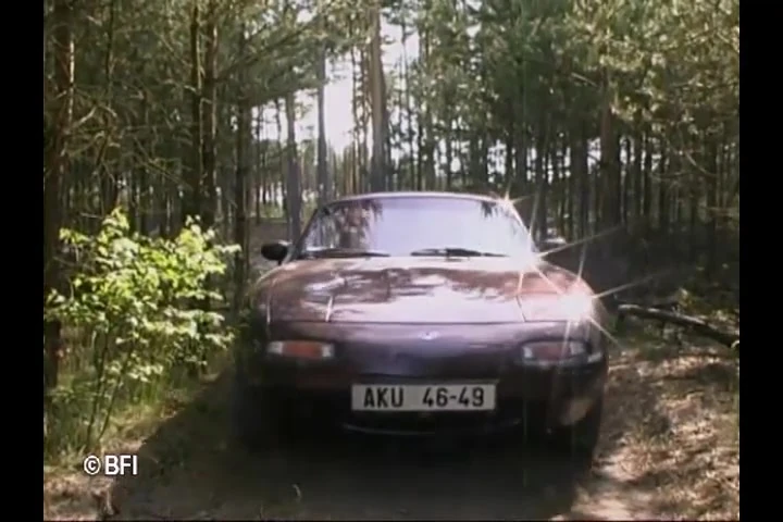 Old-young nature love