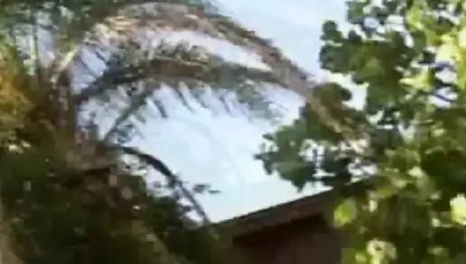 Florida amateurs havuz başı oyun zamanı