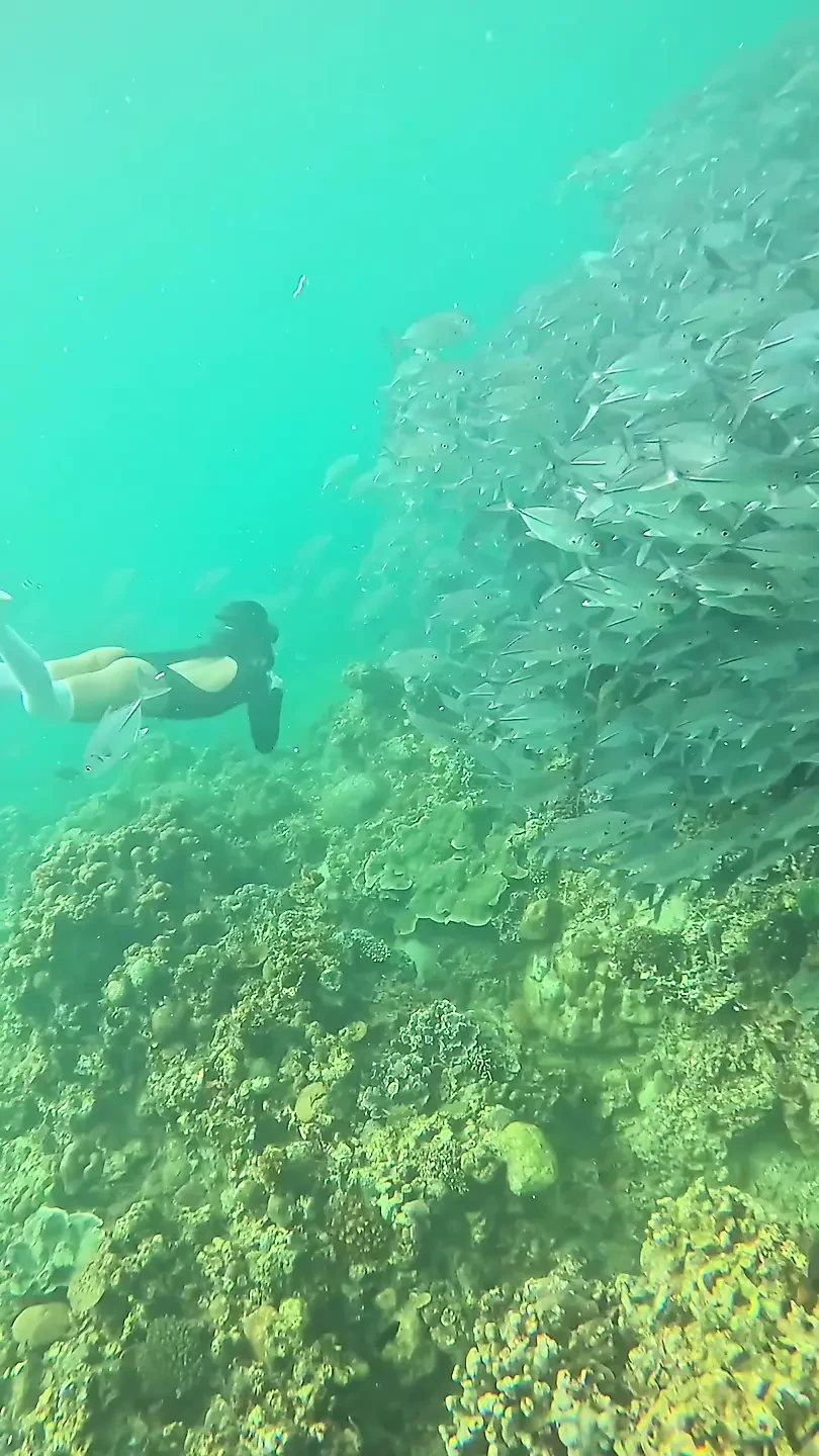 Im Your Little Mermaid