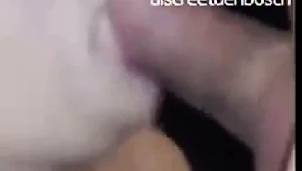 discreetdenbosch - 's-hertogenbosch 3