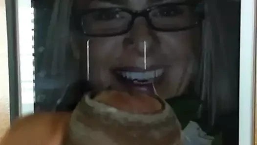 tribute stephs bis