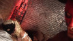 Pratinjau video