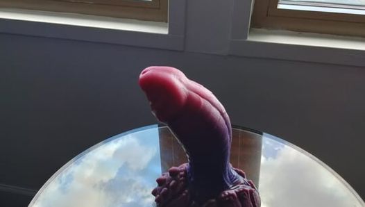 My bad Dragon dildo