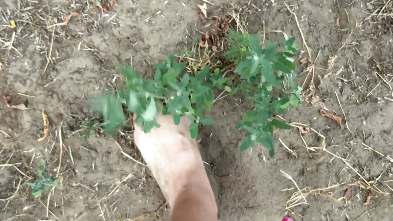 Dirty Feet in the Garden