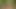 Hot Hung Bareback Cum Loving Twinks
