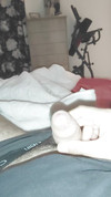 Pregled videozapisa