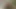 Nice Latino Papi Outdoor Anal Sex