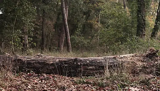 Polka Dot Skirt Babe Fucked Hard in Forest