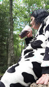 Pregled videozapisa