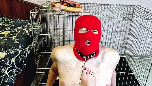 Domina neckt den sklaven, indem sie ihm die Möglichkeit gibt, ihre füße zu ficken, aber lässt den sklaven nicht kommen
