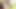 Gorgeous trannies reveal their tan lines with aroused hunk in the living room