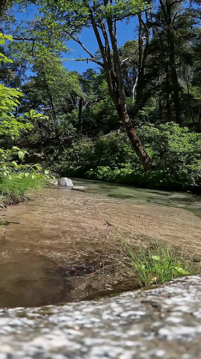 We Got Caught Fucking at a Waterfall with Facial & Cumwalk