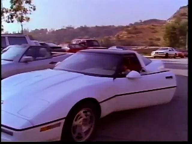 The Pink Pussycat (1992)
