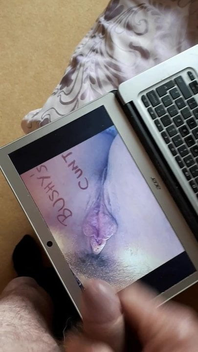 Tossertim spunks Bushywusheys cunt