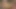 Zinde porno yıldızı Sophia Fiore yarak emiyor