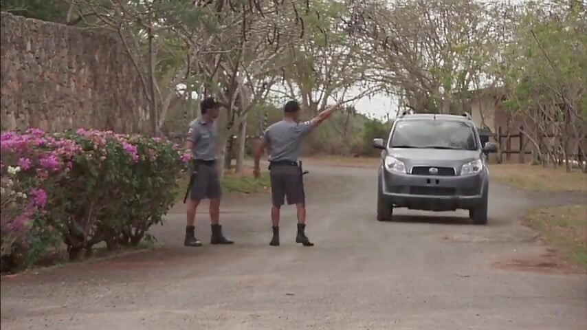 岛屿热户外阴户传播和吮吸