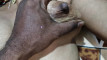 Pratinjau video