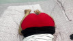 Pregled videozapisa