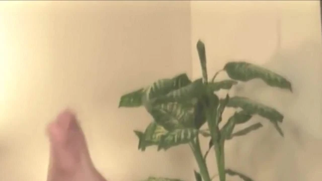 Rebecca Love in Housewives from Another World.mp4