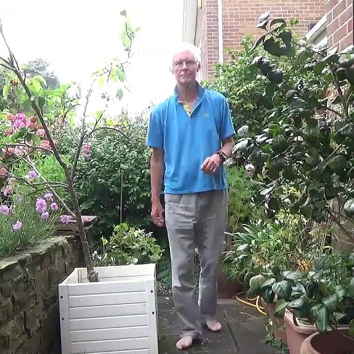 Patio Ball Stretcher Wank
